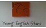 Языковой центр Young English Stars